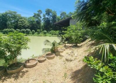 Serene lakeside area with lush greenery