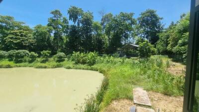 Backyard with pond and surrounding trees