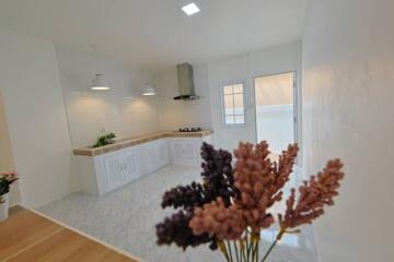 Modern kitchen with plants and clean design