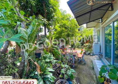 Lush garden area with seating