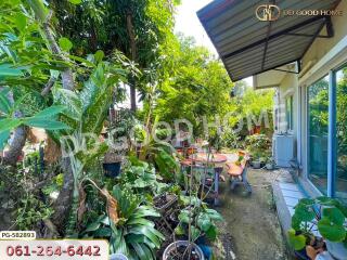 Lush garden area with seating