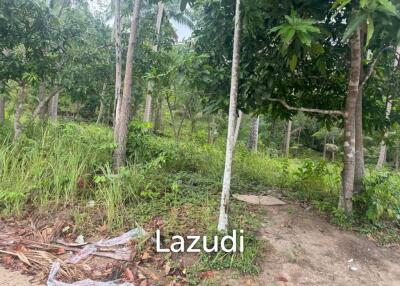 Prime 1908 sqm Plot in Chaloklum, Koh Phangan