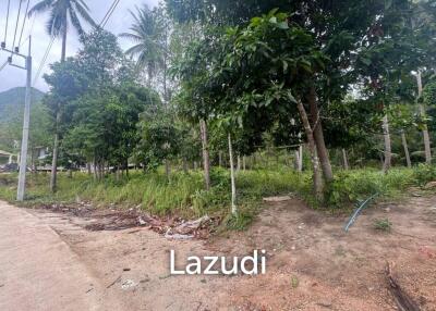 Prime 1908 sqm Plot in Chaloklum, Koh Phangan