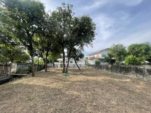 Spacious garden with trees