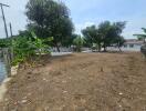 Open outdoor yard with trees and partially built fence