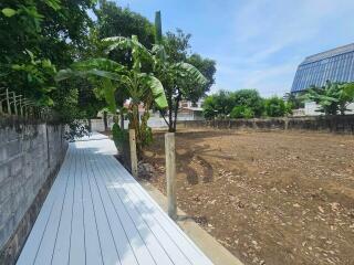 Wooden path leading to an open backyard area with trees and banana plants