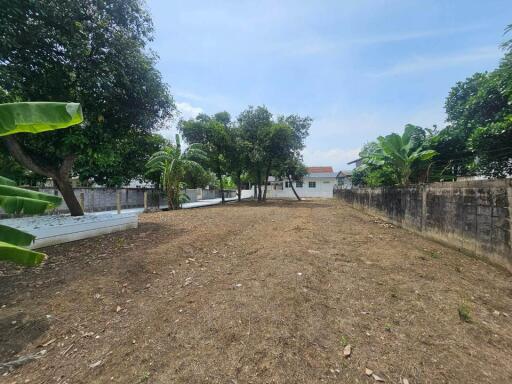 Spacious backyard with trees and privacy wall