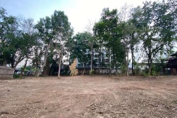 A land for rent with construction in Muang Chiang Mai