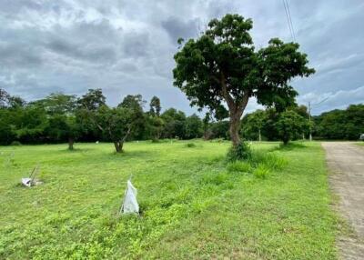 A nice plot for sale in San Sai, Chiang Mai