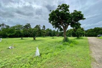 A nice plot for sale in San Sai, Chiang Mai