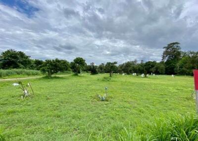 A nice plot for sale in San Sai, Chiang Mai