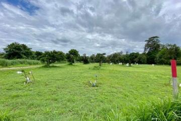 A nice plot for sale in San Sai, Chiang Mai