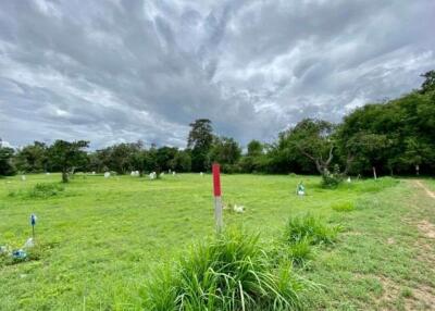 A nice plot for sale in San Sai, Chiang Mai