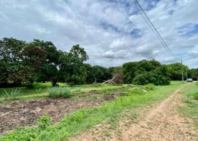 A nice plot for sale in San Sai, Chiang Mai