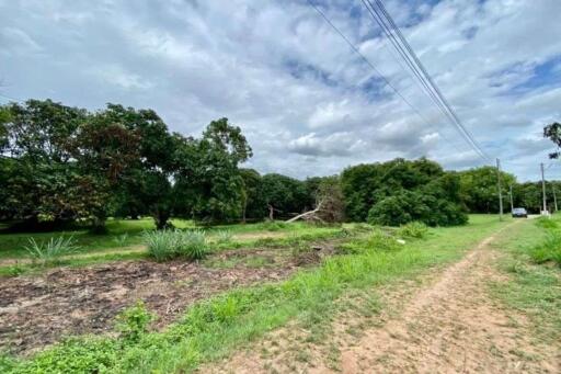 A nice plot for sale in San Sai, Chiang Mai