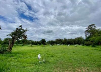 A nice plot for sale in San Sai, Chiang Mai