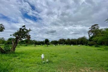 A nice plot for sale in San Sai, Chiang Mai