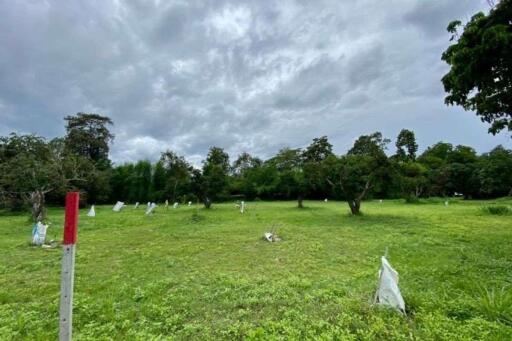 A nice plot for sale in San Sai, Chiang Mai