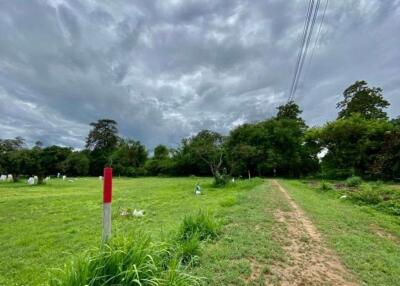 A nice plot for sale in San Sai, Chiang Mai