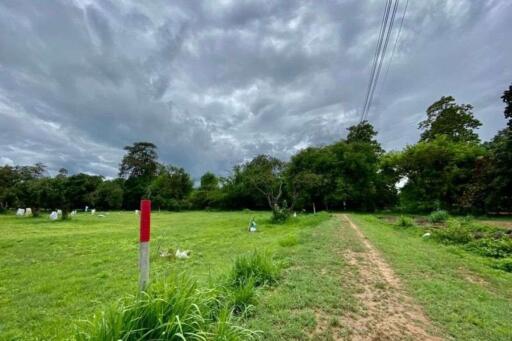 A nice plot for sale in San Sai, Chiang Mai