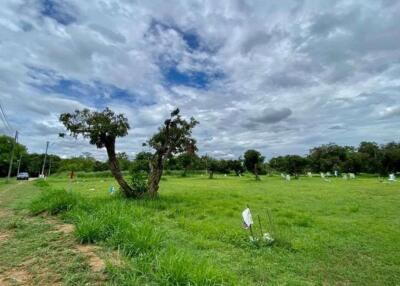 A nice plot for sale in San Sai, Chiang Mai