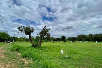 A nice plot for sale in San Sai, Chiang Mai