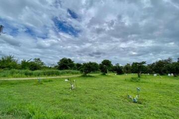 A nice plot for sale in San Sai, Chiang Mai