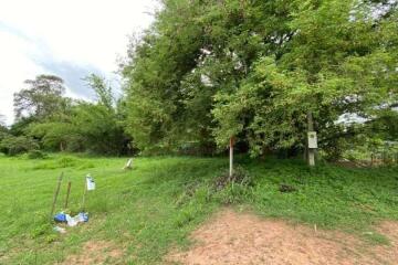 A nice plot for sale in San Sai, Chiang Mai