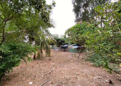 A nice size of land in Nam Phrae for sale, Chiang Mai