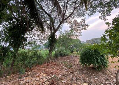 A nice size of land in Nam Phrae for sale, Chiang Mai