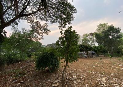 A nice size of land in Nam Phrae for sale, Chiang Mai