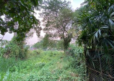 A nice size of land in Nam Phrae for sale, Chiang Mai