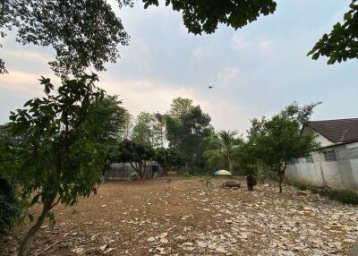 A nice size of land in Nam Phrae for sale, Chiang Mai