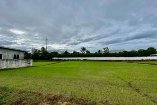 Large plot for sale in San Khampeang, Chiang Mai