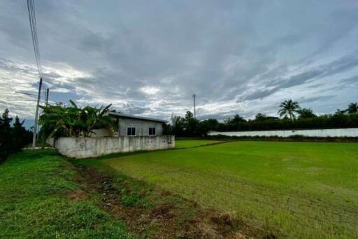 Large plot for sale in San Khampeang, Chiang Mai