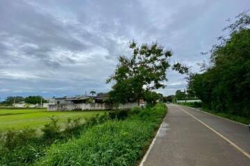 Large plot for sale in San Khampeang, Chiang Mai