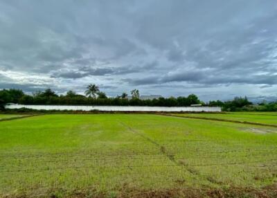 Large plot for sale in San Khampeang, Chiang Mai