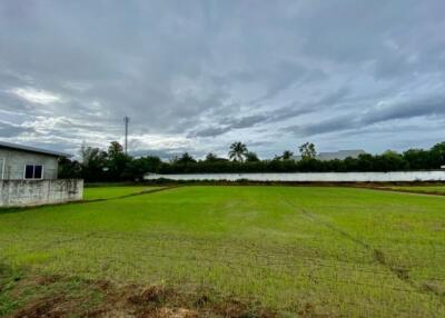 Large plot for sale in San Khampeang, Chiang Mai
