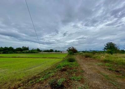 Large plot for sale in San Khampeang, Chiang Mai