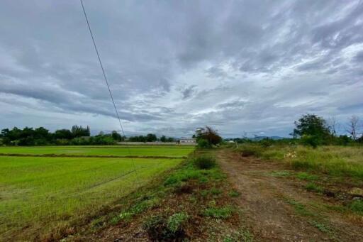 Large plot for sale in San Khampeang, Chiang Mai