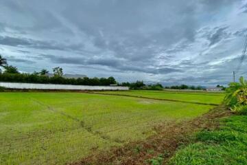 Large plot for sale in San Khampeang, Chiang Mai