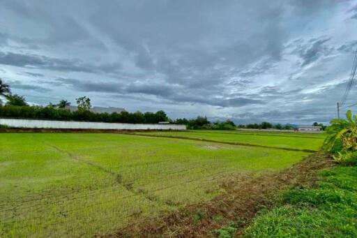 Large plot for sale in San Khampeang, Chiang Mai