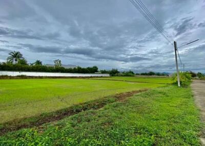 Large plot for sale in San Khampeang, Chiang Mai