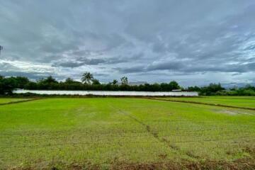 Large plot for sale in San Khampeang, Chiang Mai