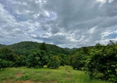 Large plot of land for sale in Mae Tang, Chiang Mai