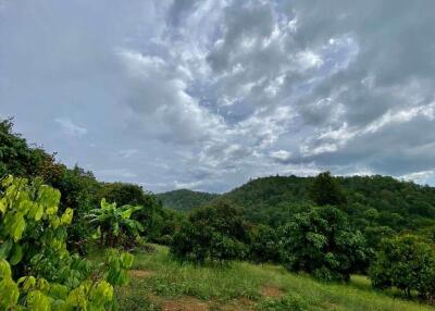 Large plot of land for sale in Mae Tang, Chiang Mai