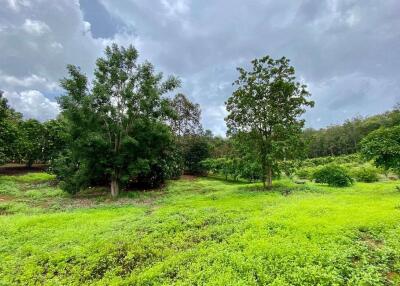 Large plot of land for sale in Mae Tang, Chiang Mai