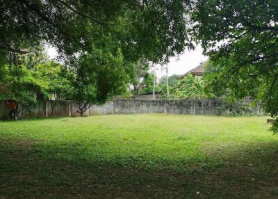 A nice plot ready to build for sale in Muang Chiang Mai