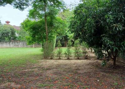 Land for sale near Mee Chok Plaza, Chiang Mai