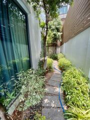 A narrow garden pathway with lush greenery